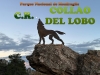 CASA RURAL COLLAO DEL LOBO Monfragüe ( Cáceres )